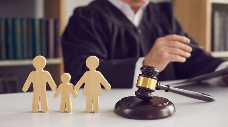 Guardianship Beyond Disputes: Understanding the Nuances of Child Custody Law