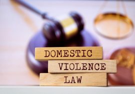 Breaking the Silence: Protecting Rights through Domestic Violence Law