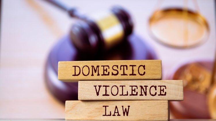 Breaking the Silence: Protecting Rights through Domestic Violence Law