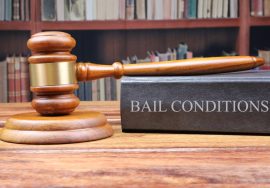 Legal Expert for Bail Rejection Appeal at the High Court in India